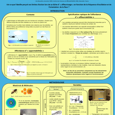 Salvage Serres Morice Ed Smh 2025 Poster